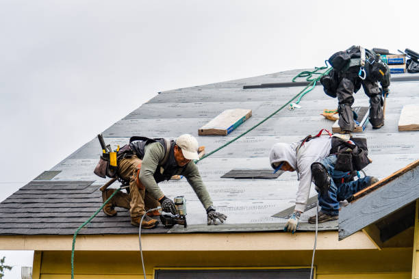Professional Gutter Installation technician working in Hanover, MN